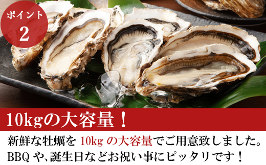 『先行予約』【令和7年1月10日から発送】いろは島の料理長が厳選！唐津産 牡蠣10kg ナイフ 軍手付 (加熱用)殻付き かき カキ 殻付き牡蠣 養殖 まがき 貝 海鮮 シーフード