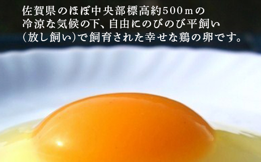 放し飼い！七山たまご 40個箱 (Ｍ〜Ｌサイズ相当) 玉子 生卵 鶏卵 佐賀県唐津産