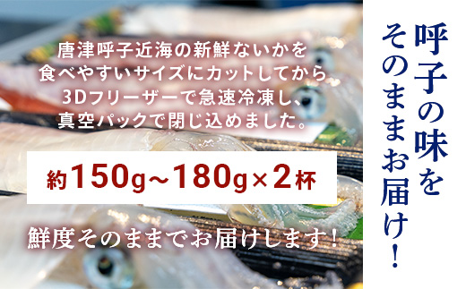 『先行予約』唐津呼子産いか活造り 2杯(約150g～180g×2) 急速冷凍 新鮮そのまま食卓へ！イカ 刺身 簡単 ギフト ※水揚げあり次第6月以降順次発送させていただきます。