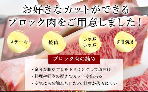 《プロシリーズ》佐賀牛 最上位部位ロースブロック500g 牛肉 ステーキ ローストビーフ かたまり ギフト 黒毛和牛 すき焼き しゃぶしゃぶ 希少部位 焼肉 自宅 BBQ アウトドア 「2023年 令和5年」