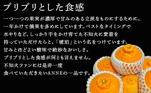 『予約受付』【令和7年1月中旬発送】佐賀県唐津産 不知火(琥珀) デコポン でこぽん ミカン みかん 柑橘 フルーツ 果物