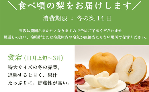 險ウ縺ゅj 莉翫′鬟溘∋鬆 迚ケ譬ス 譌ャ縺ョ譴ィ5kg縲諢帛ョ墓「ィ縲譫懃黄 繝輔Ν繝シ繝 縺上□繧ゅョ