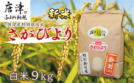 『先行予約』【令和6年産】唐津産特別栽培米 さがびより(白米) 9kg コメ お米 ごはん 白米 ご飯 こめ お米 おにぎり