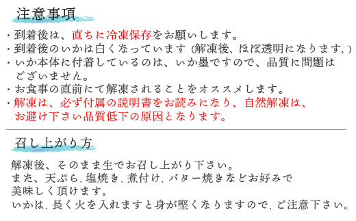 いか丼 80g×6食 ご家庭で手軽に本格的な海の幸を堪能できる味わい深い イカ 烏賊 海鮮 夕食 簡単 お手軽 解凍