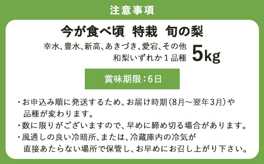 今が食べ頃 特栽 旬の梨5kg【申込時期により旬の品種を発送】和梨 幸水 豊水 新高 あきづき 愛宕 果物 フルーツ くだもの