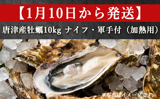 『先行予約』【令和7年1月10日から発送】いろは島の料理長が厳選！唐津産 牡蠣10kg ナイフ 軍手付 (加熱用)殻付き かき カキ 殻付き牡蠣 養殖 まがき 貝 海鮮 シーフード