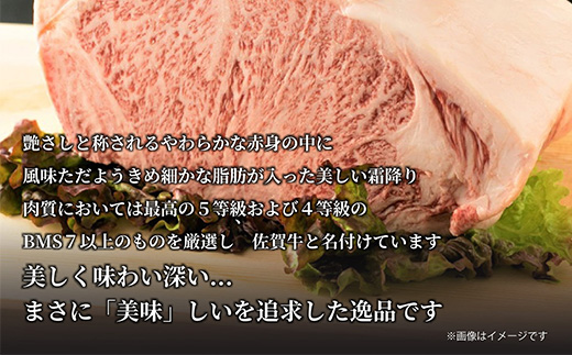 訳あり！佐賀牛モモブロック(ローストビーフ用等)約500g～600g 牛肉 赤身 モモ肉 BBQ バーベキュー キャンプ ステーキ 焼肉 アウトドア 「2024年 令和6年」