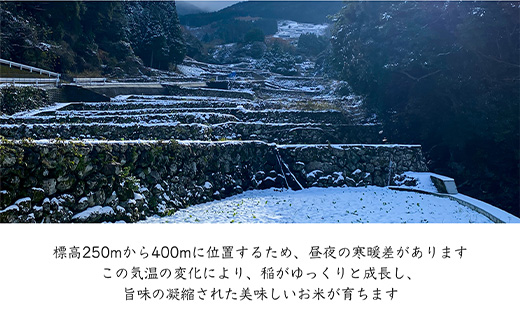 『先行予約』【令和6年産】特別栽培棚田米「蕨野」5kg×1袋(合計5kg) 家庭排水が一切入らない自然水で作られたお米 10日に1回精米で新米のような味わい