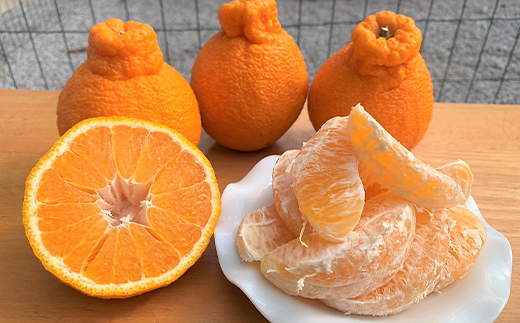 『予約受付』【令和6年2月下旬発送】こだわりの「ハウスデコ(しらぬい)」贈答箱1kg デコポン 不知火 ミカン みかん 柑橘 ギフト