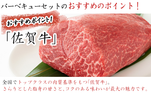 佐賀牛 華味鳥 BBQセット 2種 合計850g アウトドア バーベキュー 牛肉 鶏肉「2023年 令和5年」