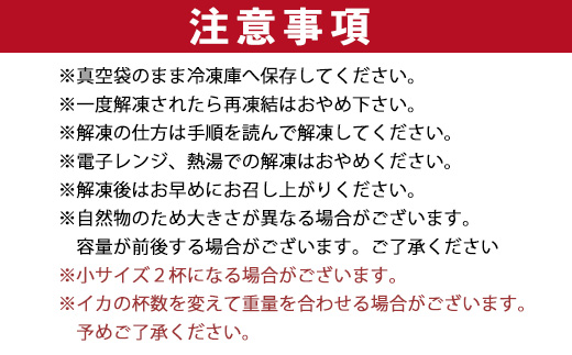 『先行予約』唐津呼子産いか活造り 1杯(約220g～250g) 急速冷凍 新鮮そのまま食卓へ！イカ 刺身 簡単 ギフト ※水揚げあり次第6月以降順次発送させていただきます。