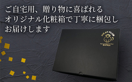 艶さし！佐賀牛サーロインステーキ 250g×2枚(合計500g) 肉 牛肉 ステーキ 焼肉 BBQ バーベキュー ギフト アウトドア 「2024年 令和6年」