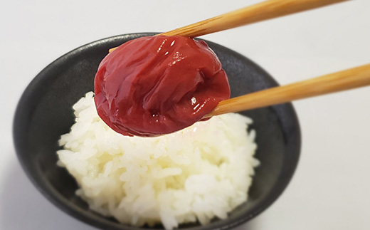 唐津市七山南高梅 減塩しそ梅 (500g×1) 梅干し うめぼし うめ しそ ご飯のお供 ＃irodoriからつ四季の返礼品