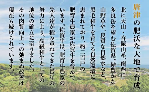 和牛もつ鍋セット 佐賀産和牛ミックスホルモン500ｇ 濃厚みそ味ス−プ 乾麺 (3〜4人前)「2023年 令和5年」