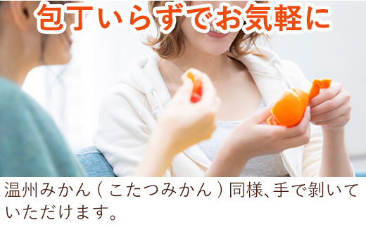 『予約受付』口之津(くちのつ)39号みかん (ハウス栽培) 唐津産 3kg【令和7年1月下旬発送】浜王(はまおう) フルーツ 果物 柑橘 かんきつ