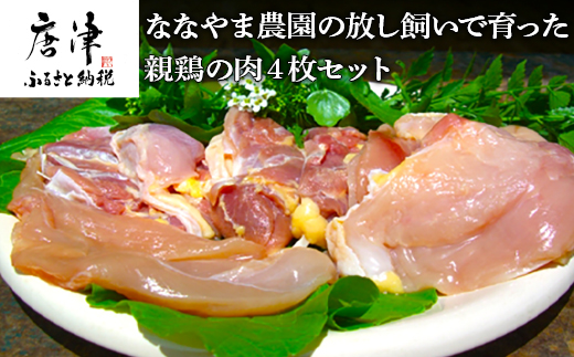 佐賀県産 放し飼いで育った親鶏の肉 (もも むね ささみ各2枚×4) 煮込み料理 たたき「2023年 令和5年」