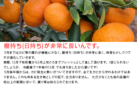 『先行予約』【令和7年2月上旬発送】果皮も丸ごとガブッ！味香みかん 5kg 新種のミカン フルーツ 果物 デザート 柑橘