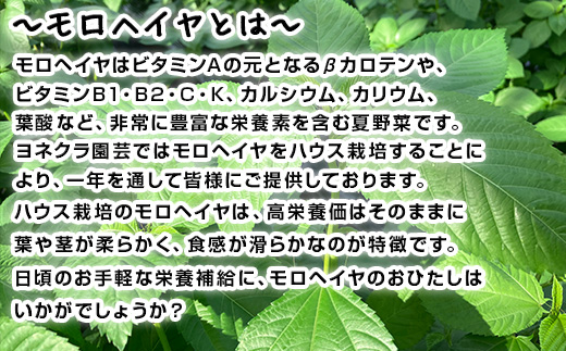 ãå
è¡äºçŽãã12æäžæ¬ããé æ¬¡çºéãå¬ç©«ãããŠã¹ã¢ããã€ã€(100gÃ5è¢)ãšã¢ã€ã¹ãã©ã³ã(70gÃ5P)ã»ãã 2ç®± ãããã 髿 é€äŸ¡ ããããæ°äœéš å®çªãã²ãã åæŽäžã®åçš®ã¹ãŒã ãèã»ãéã®ã¡ã€ã³æçã®ä»ãåãã