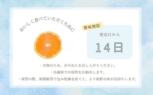 『先行予約』【令和7年6月上旬発送】夏の極上ハウスみかん「夏織」箱込10kg 〜海と空と、みかん〜　甘くてとろける夏の果物 ミカン フルーツ 柑橘