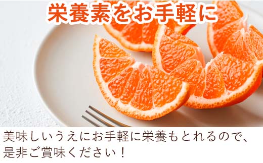 『予約受付』【令和7年2月中旬発送】マーコット(ハウス栽培) 唐津産 3kg みかん ミカン 果物 フルーツ