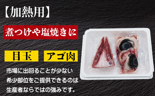 生食・加熱用 国産 黒まぐろ 1尾分 希少部位6種セット マグロ 鮪 刺身 さしみ 煮付け 塩焼き 魚 魚介 海鮮 海産物