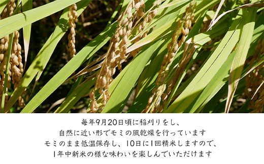 特別栽培棚田米「蕨野」5kg×2袋(合計10kg)  家庭排水が一切入らない自然水で作られたお米 10日に1回精米で新米のような味わい