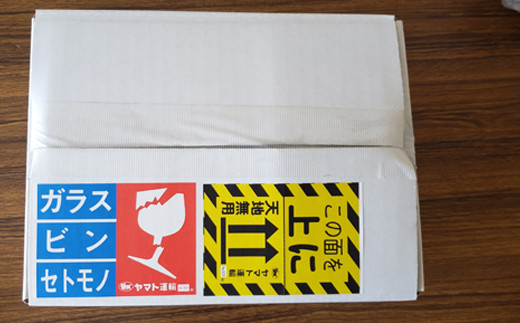 生姜濃縮 ジンジャエール 250ml×12本 生姜の味がギューッと1本に濃縮