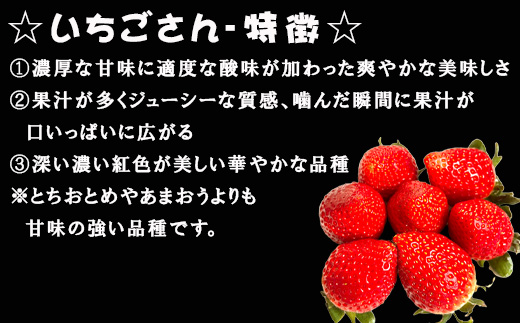 『先行予約』【令和7年3月より順次発送】唐津産 いちごさん 250g×4パック(合計1kg) 濃厚いちご 苺 イチゴ 果物 フルーツ