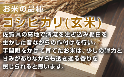 唐津産 七山 棚田米 コシヒカリ 玄米 2合(300g)×5袋セット 減農薬栽培 小分け袋 こしひかり ごはん コメ おにぎり