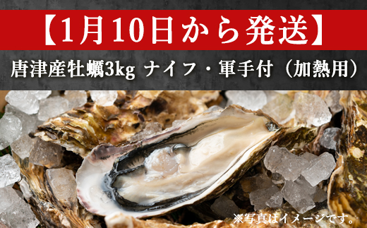 『先行予約』【令和7年1月10日から発送】いろは島の料理長が厳選！唐津産 牡蠣3kg ナイフ 軍手付 (加熱用殻付き) かき カキ 殻付き牡蠣 養殖 まがき 貝 海鮮 シーフード