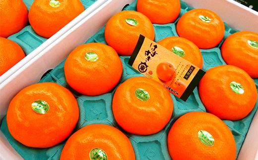『予約受付』【令和7年2月上旬発送】唐津産 はまさき 3kg 化粧箱 みかん ミカン オレンジ フルーツ 果物 ギフト