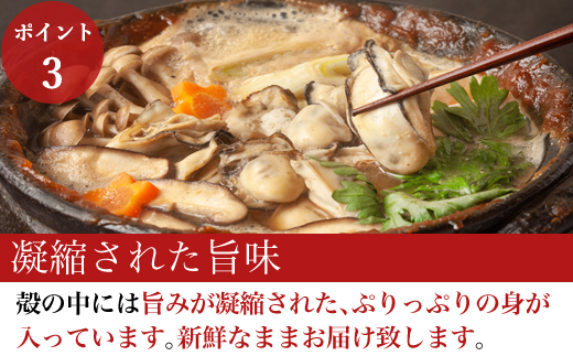 『先行予約』【令和7年1月10日から発送】いろは島の料理長が厳選！唐津産 牡蠣10kg ナイフ 軍手付 (加熱用)殻付き かき カキ 殻付き牡蠣 養殖 まがき 貝 海鮮 シーフード