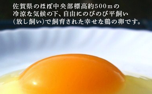 放し飼い！七山たまご 40個箱×2(合計80個) (Ｍ~Ｌサイズ相当) 玉子 生卵 鶏卵 佐賀県唐津産