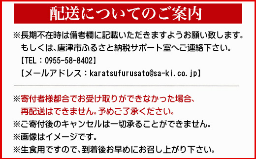 生食・加熱用 国産 黒まぐろ 1尾分 希少部位6種セット マグロ 鮪 刺身 さしみ 煮付け 塩焼き 魚 魚介 海鮮 海産物