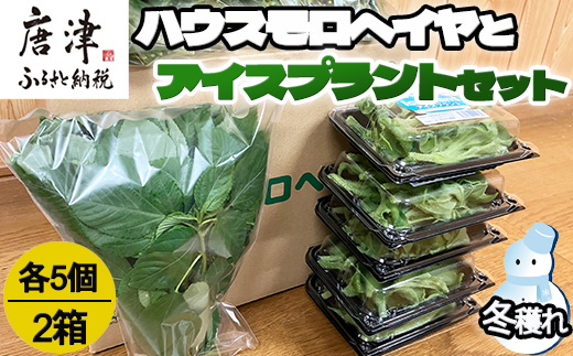 ãå
è¡äºçŽãã12æäžæ¬ããé æ¬¡çºéãå¬ç©«ãããŠã¹ã¢ããã€ã€(100gÃ5è¢)ãšã¢ã€ã¹ãã©ã³ã(70gÃ5P)ã»ãã 2ç®± ãããã 髿 é€äŸ¡ ããããæ°äœéš å®çªãã²ãã åæŽäžã®åçš®ã¹ãŒã ãèã»ãéã®ã¡ã€ã³æçã®ä»ãåãã