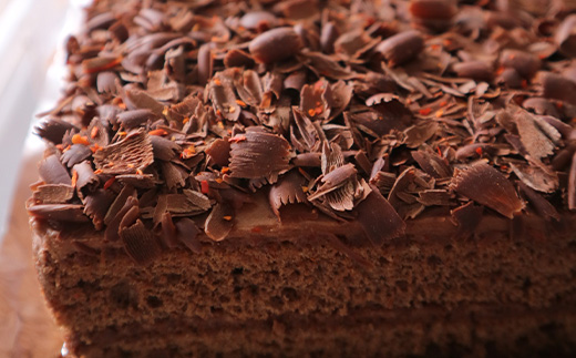 国産からつ唐辛子4種セット (赤獅子(赤唐辛子一味)・青獅子(青唐辛子一味)・七宝丸(特撰七味唐辛子)・黒獅子(オリジナルスパイス)) とうがらし トウガラシ 香辛料 調味料 スパイス 薬味