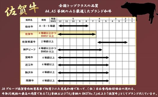 「定期便全12回」佐賀牛サーロイン1kg(250g×4枚)寄附翌月から発送