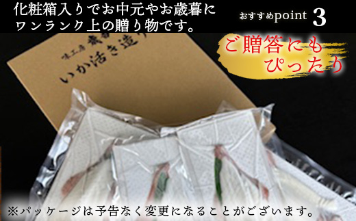 『先行予約』呼子のいか活造り3杯! コリコリ甘い鮮度抜群の透明感! 約200g×3(合計約600g) 刺身 ギフト 冷凍※水揚げあり次第5月以降順次発送させていただきます。
