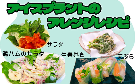 ãå
è¡äºçŽãã12æäžæ¬ããé æ¬¡çºéãå¬ç©«ãããŠã¹ã¢ããã€ã€(100gÃ5è¢)ãšã¢ã€ã¹ãã©ã³ã(70gÃ5P)ã»ãã 2ç®± ãããã 髿 é€äŸ¡ ããããæ°äœéš å®çªãã²ãã åæŽäžã®åçš®ã¹ãŒã ãèã»ãéã®ã¡ã€ã³æçã®ä»ãåãã