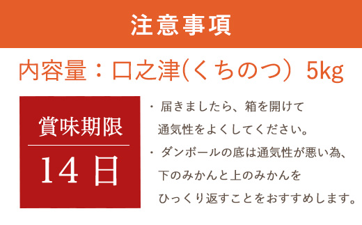 『予約受付』口之津(くちのつ）39号みかん ハウス栽培 唐津産 5kg【令和7年1月下旬発送】浜王(はまおう) フルーツ 果物 柑橘 かんきつ