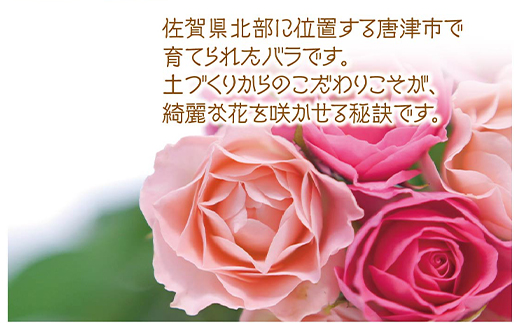 バラ(薔薇)の花束 ピンク系15本入り 贈答 プレゼント 贈り物へ