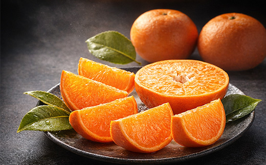 『先行予約』【令和9年2月上旬より順次発送】【特選甘熟みかん】はまさき 5kg 佐賀県産 果物フルーツ 柑橘