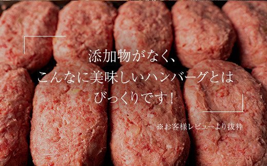 昭和20年創業老舗の極みハンバーグ10個(1.5kg) 佐賀牛 佐賀県産豚肉 お弁当 夕食 個包装