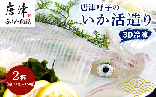 『先行予約』唐津呼子産いか活造り 2杯(約150g～180g×2) 急速冷凍 新鮮そのまま食卓へ！イカ 刺身 簡単 ギフト ※水揚げあり次第6月以降順次発送させていただきます。