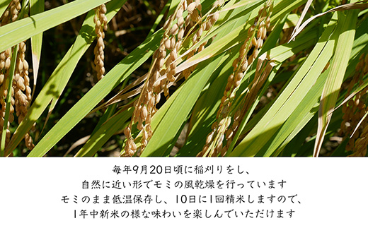 特別栽培棚田米「蕨野」5kg×４袋(合計20kg) 家庭排水が一切入らない自然水で作られたお米 10日に1回精米で新米のような味わい