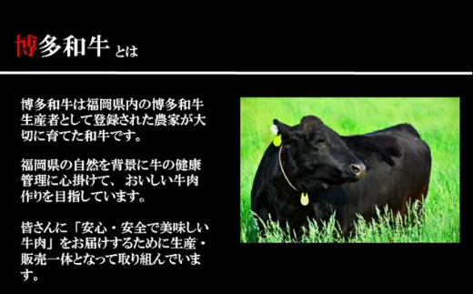 (一粒庵)博多和牛ごはん 125g×6食セット 簡単 調理 個食 小分け お手軽 牛肉 ギフト「2024年 令和6年」