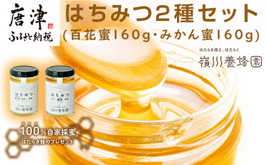 唐津産はちみつ2種セット(百花蜜160g・みかん蜜160g) 純粋はちみつ 蜂蜜 ハチミツ スイーツ ギフト「2024年 令和6年」