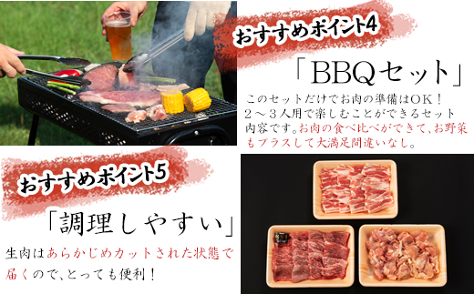 佐賀牛 華味鳥 九州産豚 BBQセット 3種 合計1.25kg アウトドア バーベキュー 牛肉 豚肉 鶏肉「2023年 令和5年」