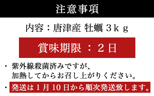 『先行予約』【令和7年1月10日から発送】いろは島の料理長が厳選！唐津産 牡蠣3kg ナイフ 軍手付 (加熱用殻付き) かき カキ 殻付き牡蠣 養殖 まがき 貝 海鮮 シーフード