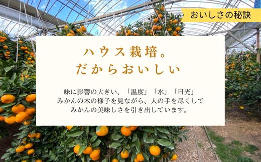 『先行予約』【令和7年6月上旬発送】夏の極上ハウスみかん「夏織」箱込10kg 〜海と空と、みかん〜　甘くてとろける夏の果物 ミカン フルーツ 柑橘